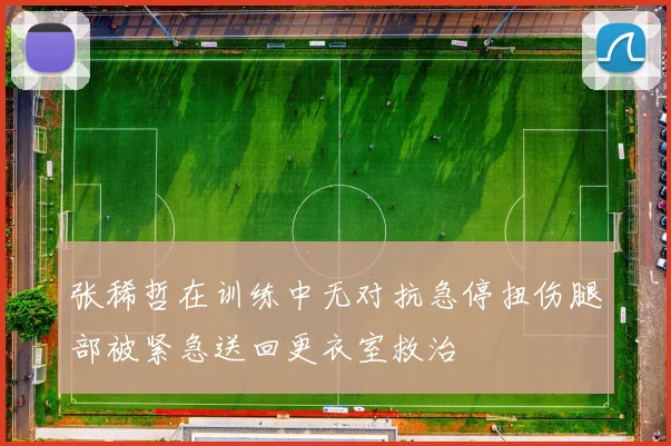 张稀哲在训练中无对抗急停扭伤腿部被紧急送回更衣室救治