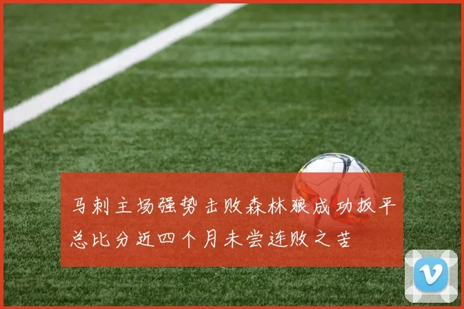 马刺主场强势击败森林狼成功扳平总比分近四个月未尝连败之苦